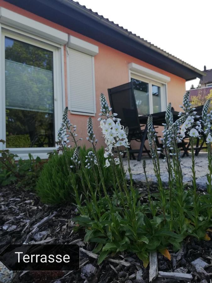 Ferienwohnung Schnetter Hummel 1 Masserberg Exterior foto